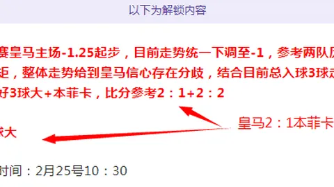“2025年F1薪酬揭秘： Verstappen与Hamilton薪酬翻番，独占鳌头超群”