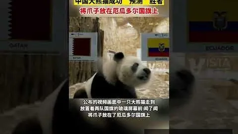 王曼昱专访：解析连丢三局败因——新华社报道